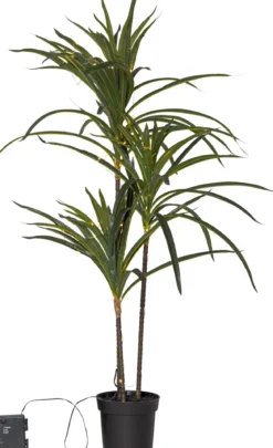 BALI Dekorationsträd 90x55cm 50LED Batteri