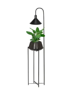 CORNELIA Golvlampa Blomkruka 140cm Svart