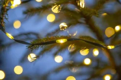 DEW DROP MICRO Ljusslinga 36m 480LED Varmvit/Grön
