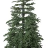 EDANE Julgran 210cm Grön