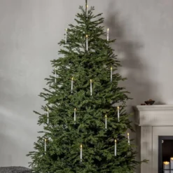 ENEDAL Julgran 2,1m Grön