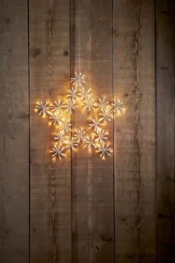 FLOWER STAR Siluett 200L 60cm