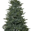 GREYLAND Julgran 210cm Grön