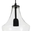 HAMILTON Taklampa 20cm Klar/Svart