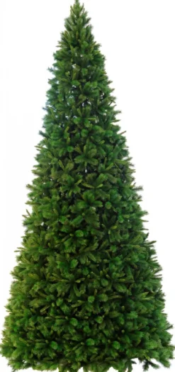 Julgran Colorado 5 meter Grön
