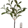 MISTEL Dekorationskvist Batteri 10L 35cm Grön