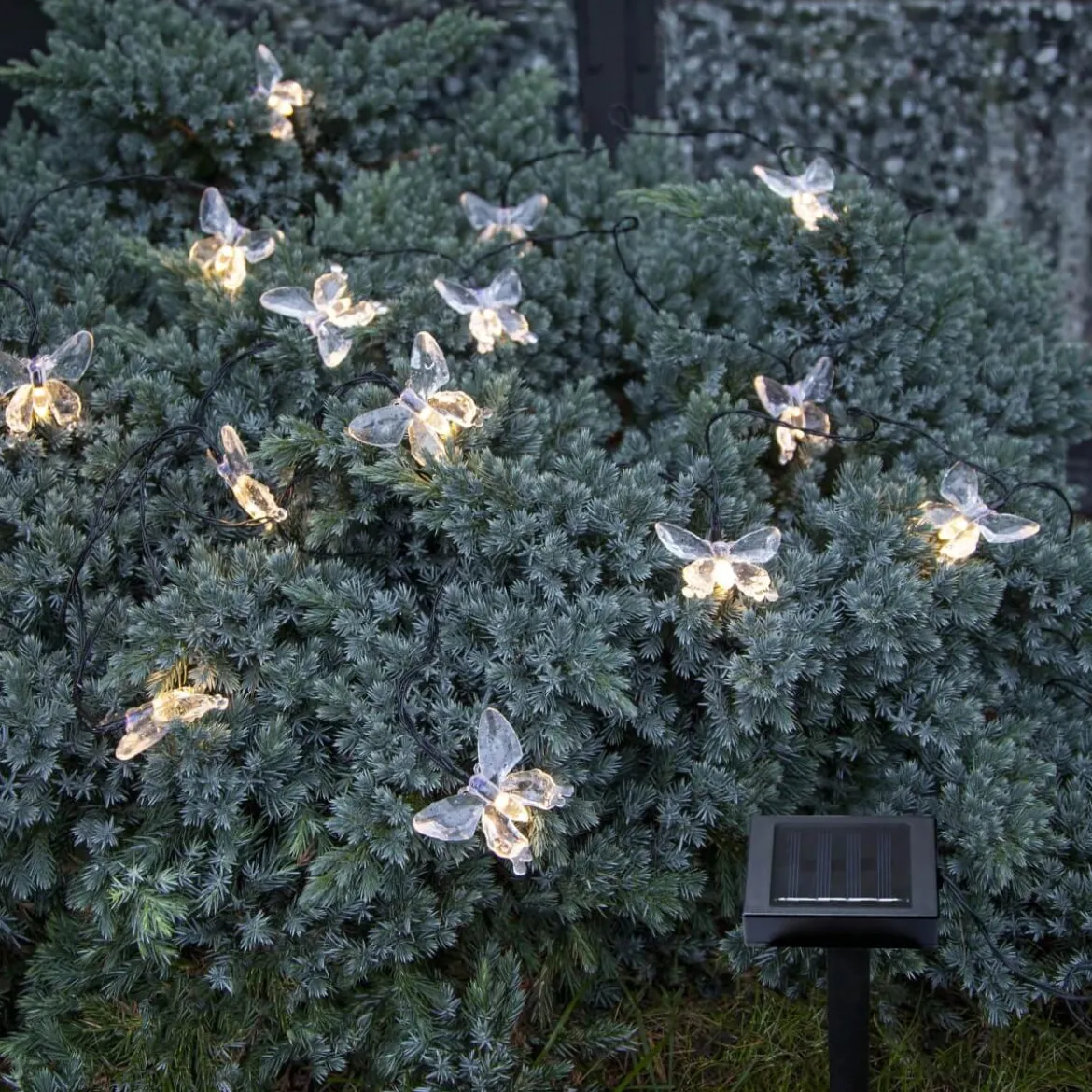PAPILLON Solcells-ljusslinga 280cm Klar