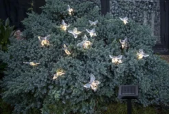 PAPILLON Solcells-ljusslinga 280cm Klar