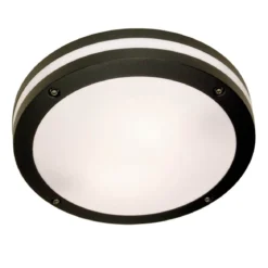 RESMO Tak/Väggplafond Ute 30cm Svart IP44