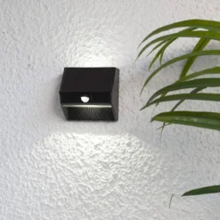 WALLY 50/5 LUMEN Solcells-vägglykta 11cm Svart